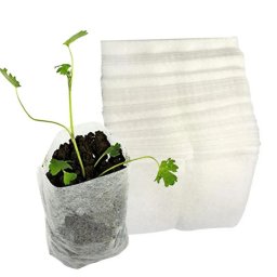 Palntanevel tasak (100 db)