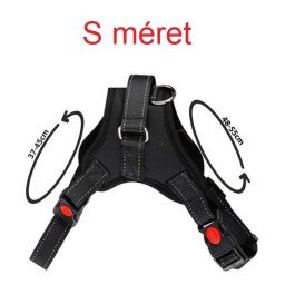 llthat kutyahm 2 mretben