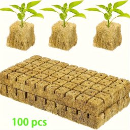 100db Fld nlkli palnta nevel kocka