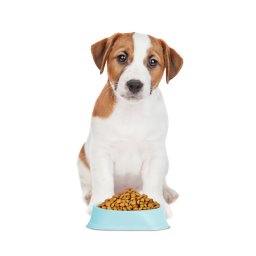 Yummie Etettl habzsolsgtlval - 20 x 20 x 4,5 cm