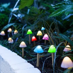 Garden of Eden LED-es szolr lmpa - 12 db mini gomba - sznes - 28,5 cm x 4 m
