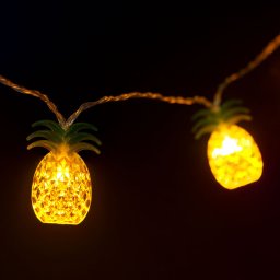 Family LED fnyfzr - anansz - 1,65 m - 10 LED - melegfehr - 2 x AA