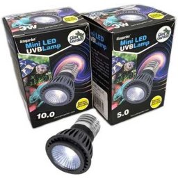 Giangarden Mini LED UVB Lamp 10.0 terráriumi LED izzó (3 Watt, E27)