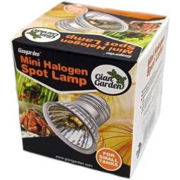 Giangarden Mini Halogen Spot Lamp terrárium izzó (25 Watt)