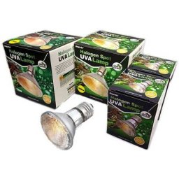Giangarden UVA halogén terrárium izzó (35 Watt)