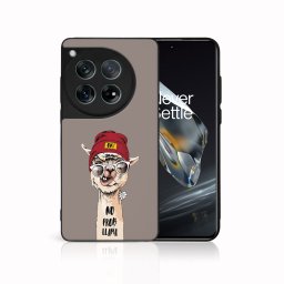 PROTEMIO MY ART Védőburkolat OnePlus 12 PROBLLAMA (187)-hoz