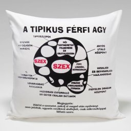 A tipikus férfiagy - Tréfás párna