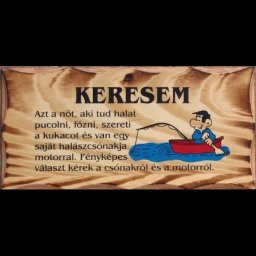 Keresem azt a nőt/fatábla - Tréfás fatábla