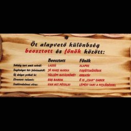 Öt alapvető különbség - Tréfás fatábla