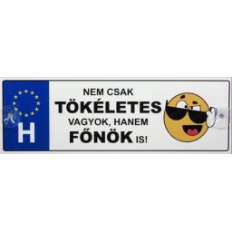 Tréfás Rendszámtábla Tökéletes főnök 05103
