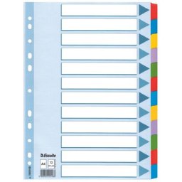 ESSELTE Regiszter, laminált karton, A4, 12 részes, ESSELTE "Mylar"