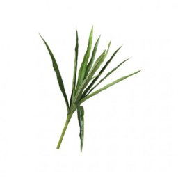 Selyemvirág Bromelia 147 cm zöld