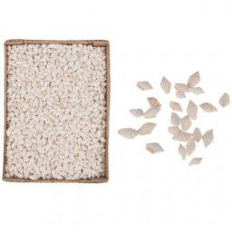 Csiga dobozban 15 cm x 20 cm x 6 cm fehér