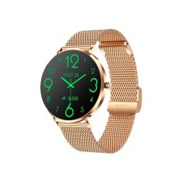 CARNEO Phoenix HR 2nd Gen/41mm/Gold/Elegant Band/Gold
