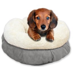AFP-ALL-FOR-PAWS Fánk alakú extra puha kutyaágy
