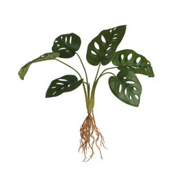 Monstera műnövény csokor gyökérkötegekkel, 43 cm (lukaslevelu-monster)