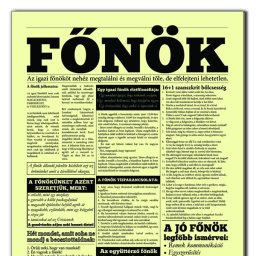 Főnök - Tréfás Szülinapi újság