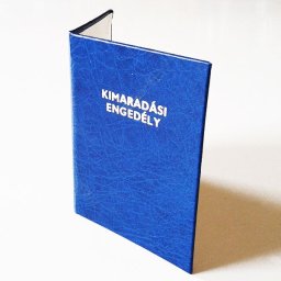Kimaradási engedély - Tréfás Igazolvány