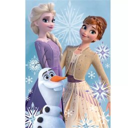 Disney Jégvarázs polár takaró, péld
