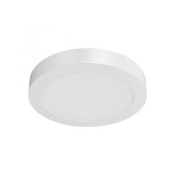 Mennyezeti Led spot lámpa D:170mm 12W 910lm 4000K