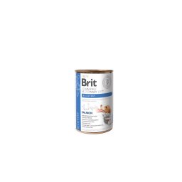 Brit GF Veterinary Diets Dog + Cat konzerv Recovery 400g