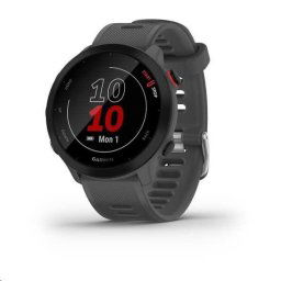Garmin GPS sportóra Forerunner 55 Grey