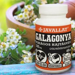 JAVALLAT(R) Galagonya virágos hajtásvég 60 db