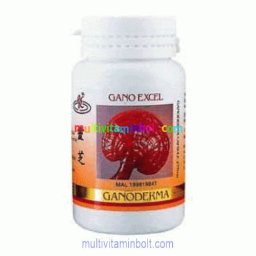 Ganoderma kapszula 90 db, gyógygombával - Gano Excel