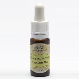 Bach virágterápia, 10 ml - Vadgesztenyerügy, a tanulás virága - 7-es