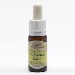 Bach virágterápia, 10 ml - Sülzanót, a remény virága - 13-as