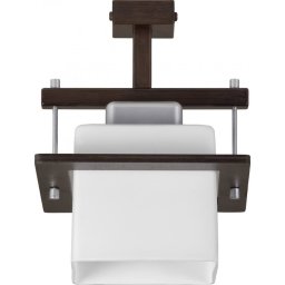 Mennyezeti lámpa Delta 1x E27