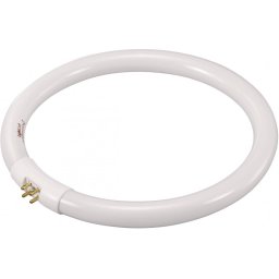 KÖRFÉNYCSŐ 32W T9 G10Q 840 CIRCLINE