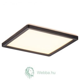 Intelligens LED mennyezeti lámpa Inverness, 15W, 1190lm