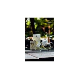 Tofillo bio-organikus krétai hegyi tea (Malotira) 20g