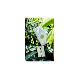 Tofillo bio-organikus krétai dictamus tea 25g