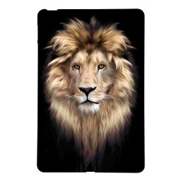 ART TPU Védőburkolat Amazon Kindle Paperwhite 6 2024-hez LION