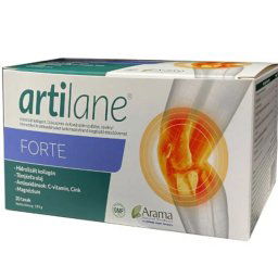 Artilane FORTE granulátum, 20 tasak