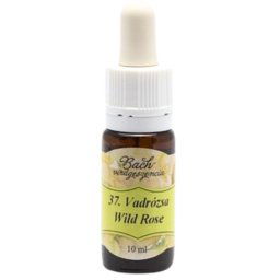 Bach virágterápia, 10 ml - Vadrózsa, az életkedv virága - 37-es