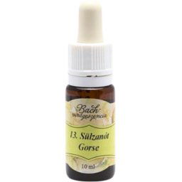 Bach virágterápia, 10 ml - Sülzanót, a remény virága - 13-as