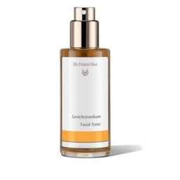 Dr. Hauschka Arctonik, 100 ml