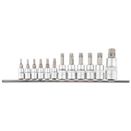 TOPEX Torxbitkszlet 1/4, 3/8, 1/2", 12db 39D342