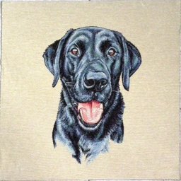 LABRADOR mintás jacquard párna panel