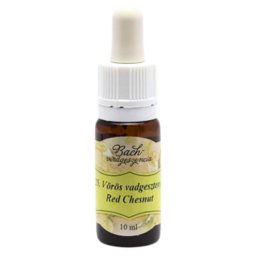 Bach virágterápia, 10 ml - Vörösvirágú vadgesztenye, az önállósodás virága - 25-ös
