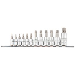 TOPEX Torxbitkészlet 1/4, 3/8, 1/2", 12db 39D342