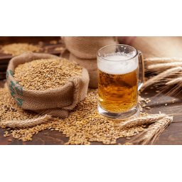 Lycos Pale Ale Malt 25 Kg (6031)