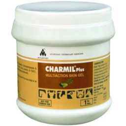 Charmil Plus ayurvédikus sebgyógyító gél 1 kg