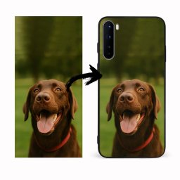 Egyedi fényképes tok OnePlus Nord telefonra