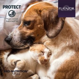 Pro-Nutrition Protect Cat Obesité (2 x 8 kg) 16kg