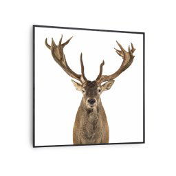 Klarstein Wonderwall Air Art Smart, infravörös hősugárzó, 60 x 60 cm, 350 W, őz (HTR10-WAASm350WDrB)