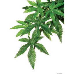 Exo Terra Abutilon műnövény - L - Nagy méret
